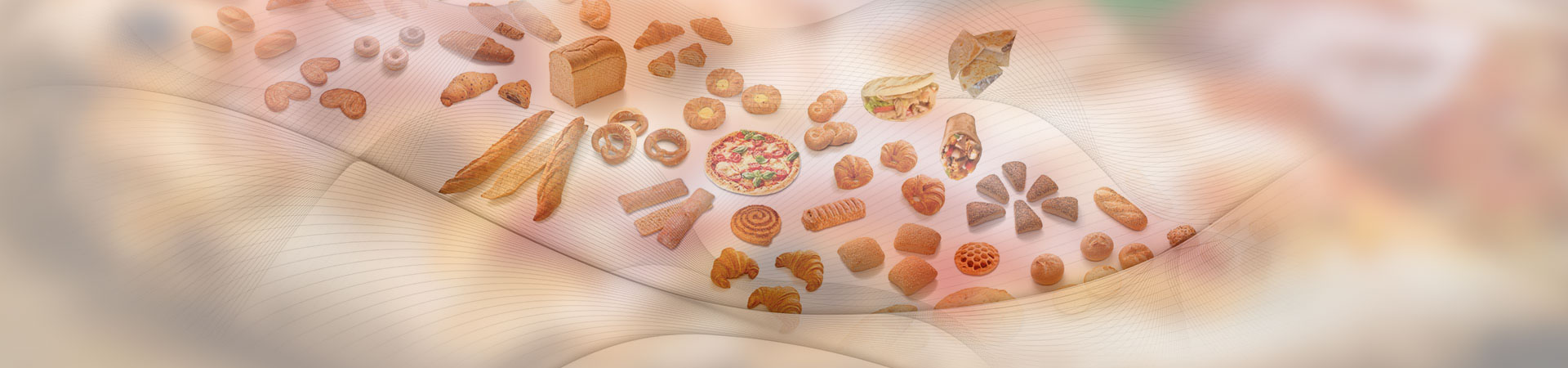 Food Processing Lines Banner